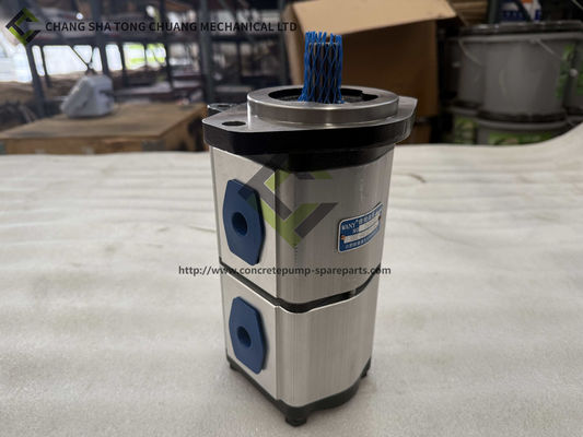 Sany Schwerindustrie Betonpumpenbefestigungen Doppelgetriebepumpe B220301000413